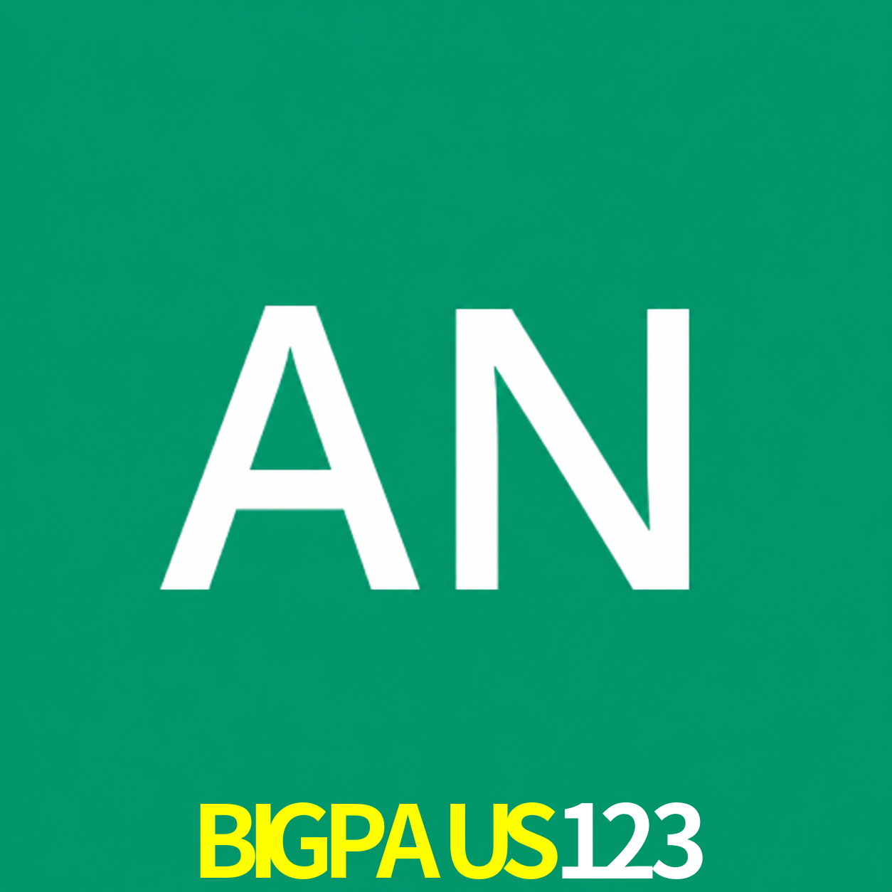 Adi Nugroho - Founder & CEO BIGPAUS123 Indonesia